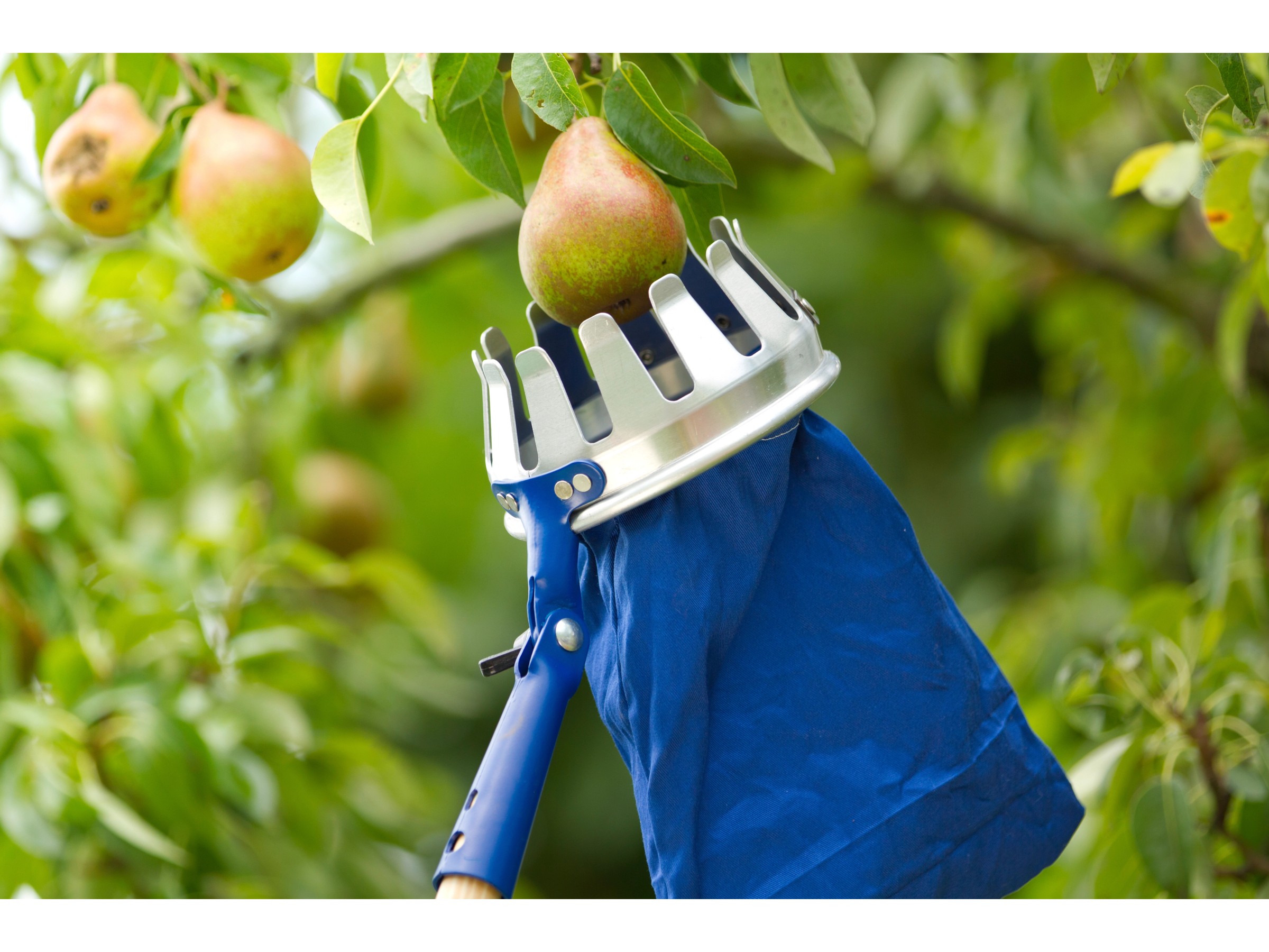 Meister Obstpflücker Komfort - Metall Obstpflücker Mit Leinenbeutel 250x190mm
