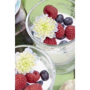 Zwei Gläser mit Joghurt, Heidelbeeren, Himbeeren und einer Blüte dekoriert.