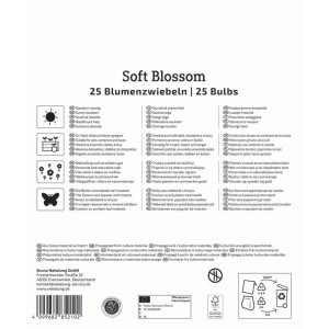 Kiepenkerl Blumenzwiebeln Soft Blossom 25 Stück Packung. Symbole für Sonne, Topf, mehrjährig, beliebt bei Insekten.