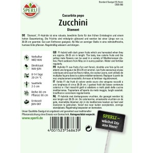 Sperli Zucchini Diamant F1-Hybride Samenpackung, mittelgrüne Früchte.