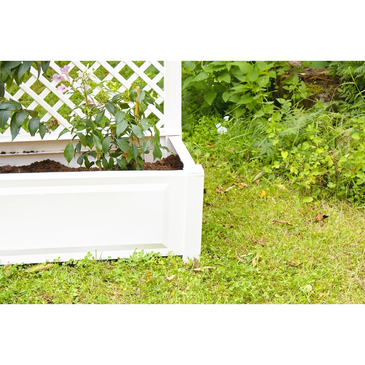 Weißer KHW Pflanzkasten mit Spalier, 140x100x43 cm, bepflanzt mit Rankpflanzen im Garten.
