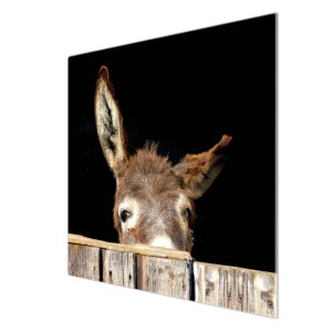 Banjado Herdabdeckplatte aus Glas mit Esel-Motiv, 60x52 cm. Auch als Schneidebrett nutzbar.