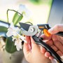 OBI Gartenschere im Einsatz beim Schneiden einer Orchidee, Bypass-System, Antihaftbeschichtung.