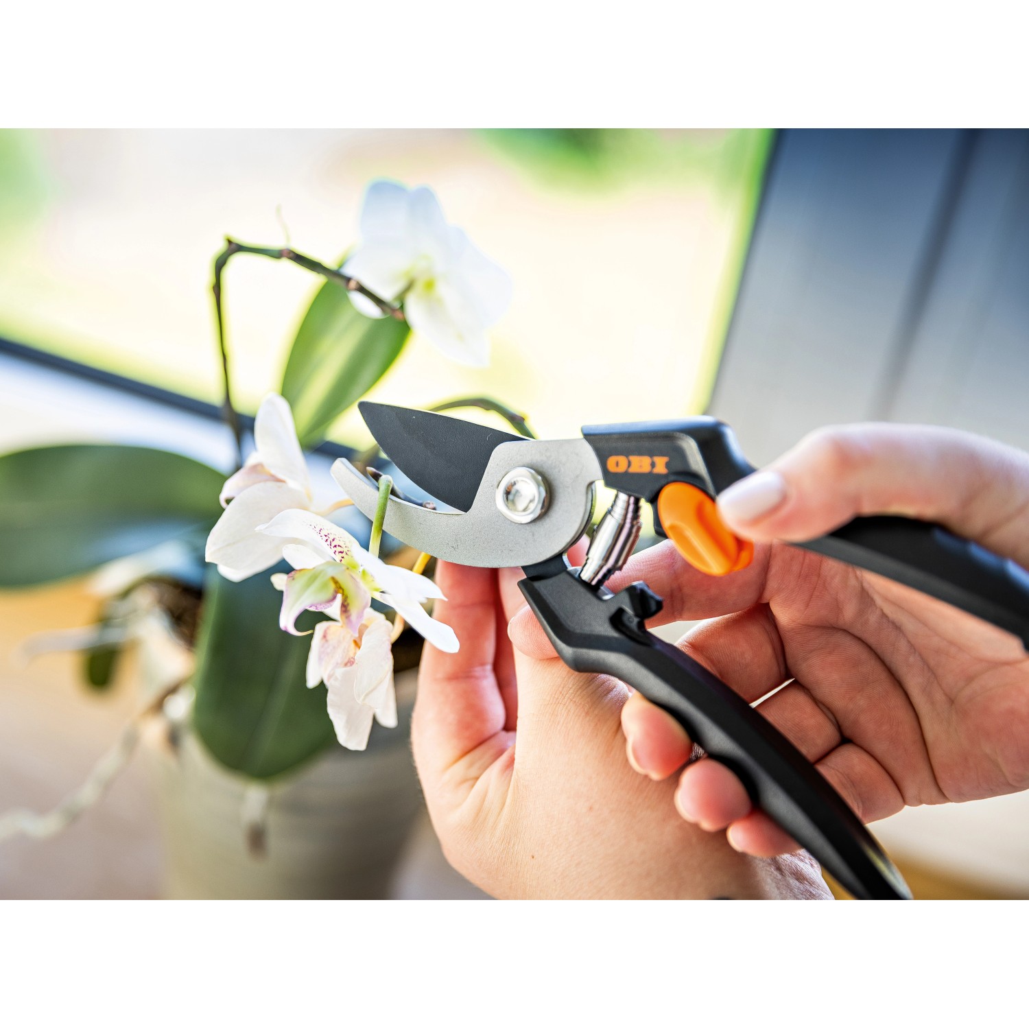 OBI Gartenschere kaufen bei OBI