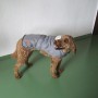 Grauer Heim Hundemantel Banbury, Größe S, mit Kragen an braunem Hund.