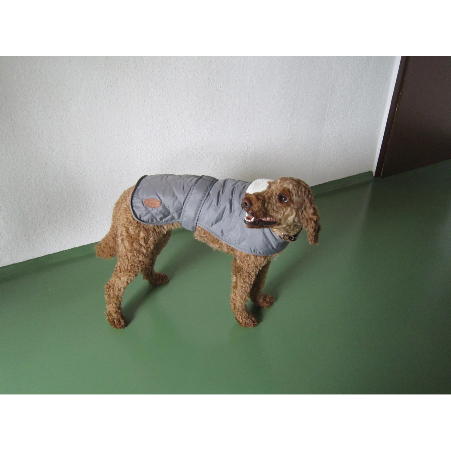 Grauer Heim Hundemantel Banbury, Größe S, mit Kragen an braunem Hund.