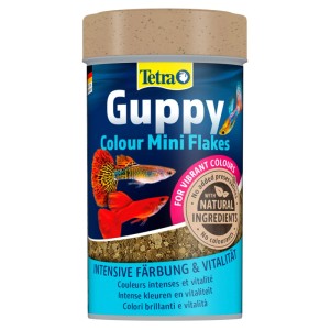 Tetra Guppy Color Mini Flakes Flockenfutter 100 ml in blauer Dose mit bunten Guppys. Fördert intensive Farben.