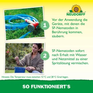 Neudorff Nützlinge gegen Apfelwickler: Geräte reinigen, Nematoden-Lösung mischen. Frau bereitet Anwendung am Apfelbaum vor.