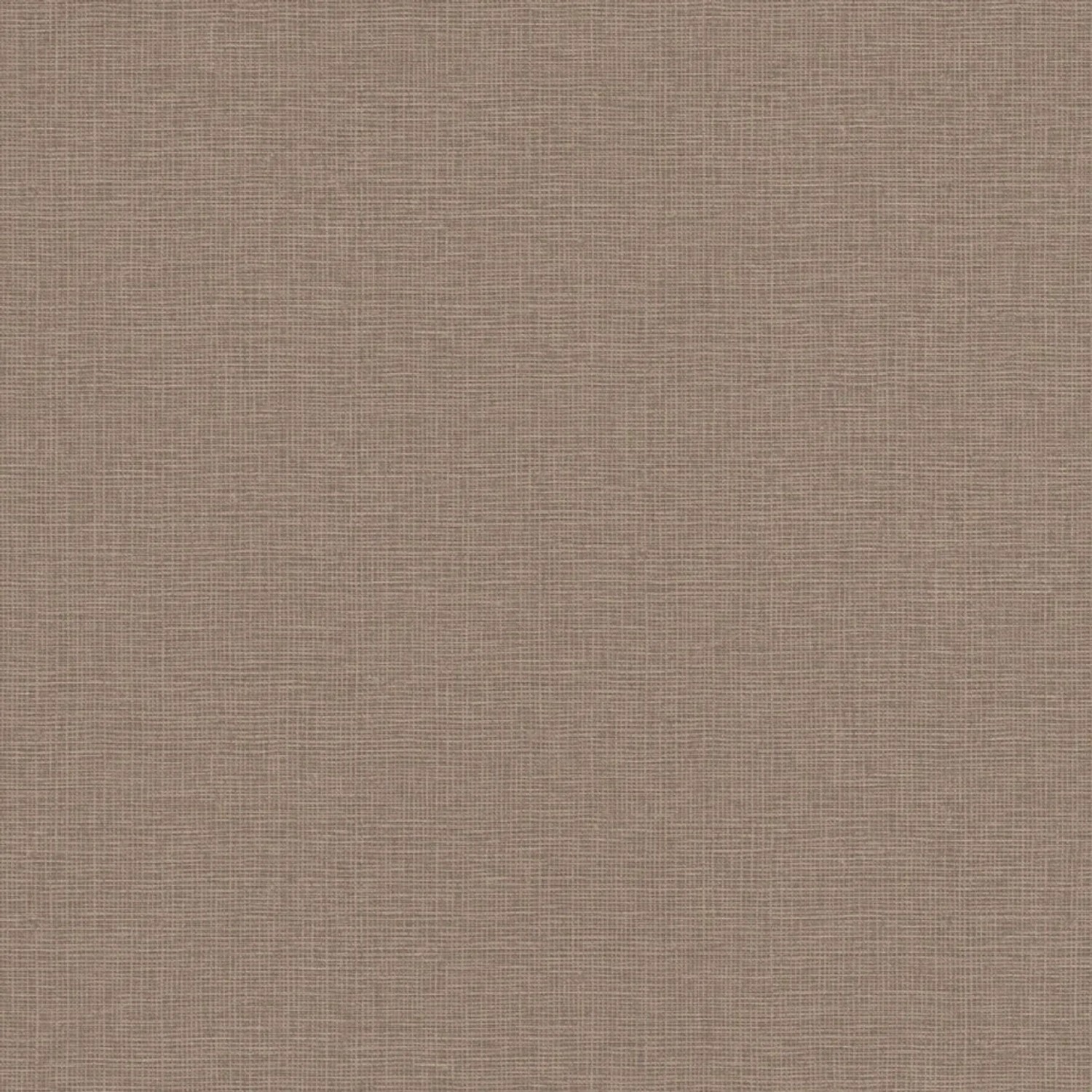 Tadessi Tapete Uni M1-No.4103 Vliestapete in Braun