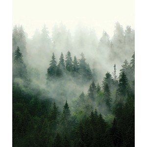 Sanders Fototapete: Berglandschaft mit grünen Bäumen im Nebel, 2,25x2,7m.
