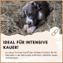 Supravit Yak Kaukäse Größe XL für Hunde_7