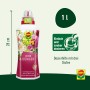 Compo Rosendünger 1 l Flasche: Flüssigdünger für Rosen, mit Dosierhilfe.