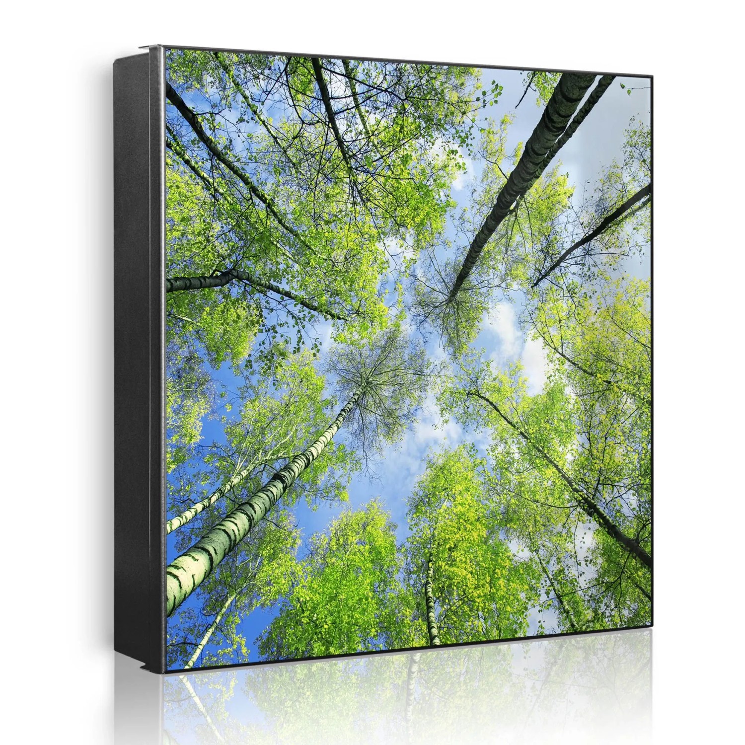 Banjado Großer Schlüsselkasten Metall 30x30cm Schwarz Scharnier Links 50 Haken Beschreibbar Magnetisch Motiv Zwischen Bäumen 3