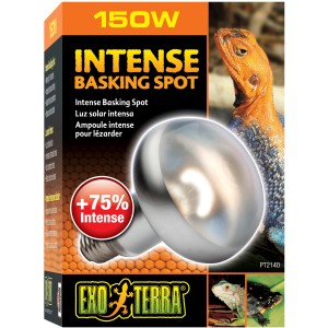 Exo Terra Intense Basking Spot 150W Wärmelampe für Reptilien, zur Erzeugung von Wärmeplätzen im Terrarium.