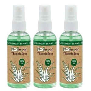 Vdvelde Tillandsia Spray 3 Stück   Pflege   Luftpflanzen