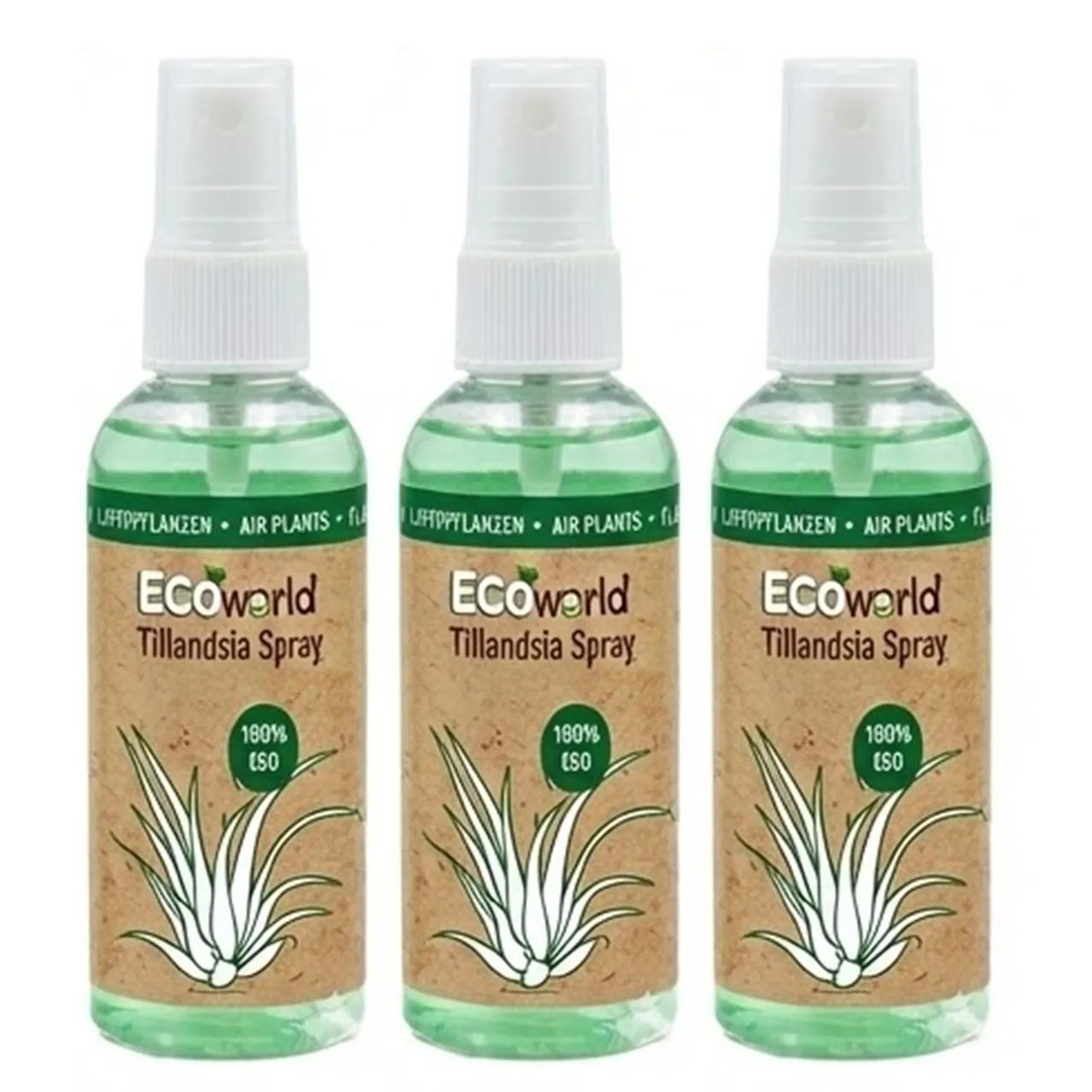 Vdvelde Tillandsia Spray 3 Stück   Pflege   Luftpflanzen