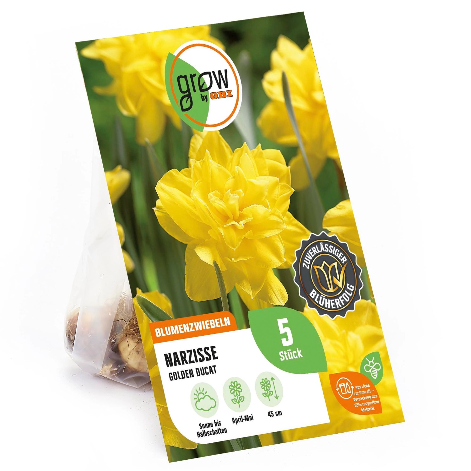 GROW by OBI Narzisse Golden Ducat Gelb 45 cm Narcissus günstig online kaufen