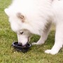 Weißer Hund trinkt aus schwarzem, klappbarem Reisenapf (Heim RAC, 500ml) auf grünem Gras.