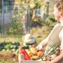 Transparentes PVC-Foliengewächshaus mit dunkelgrünem Rahmen im Garten, schützt Pflanzen. Aufrollbare Tür.