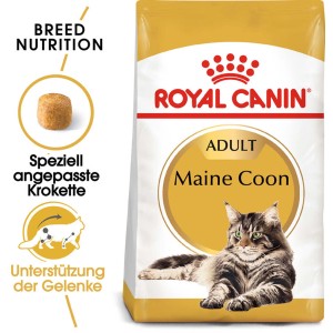 Royal Canin Maine Coon Adult Katzenfutter Trocken, 400g Packung.