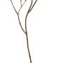 Dekorative Kunstpflanze Beeren Desert Flower, 80 cm hoch, in hellem Braun für die Innendekoration.