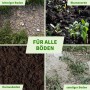 Vier Bodenarten (Lehm, Blumenerde, Humus, Sand) zeigen: Erdanker sind für alle Böden im Garten & Camping geeignet.