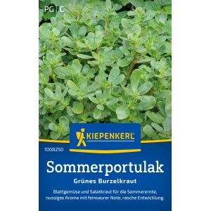 Kiepenkerl Sommerportulak: Frisches, grünes Blattgemüse für Salate und Gemüsegerichte.