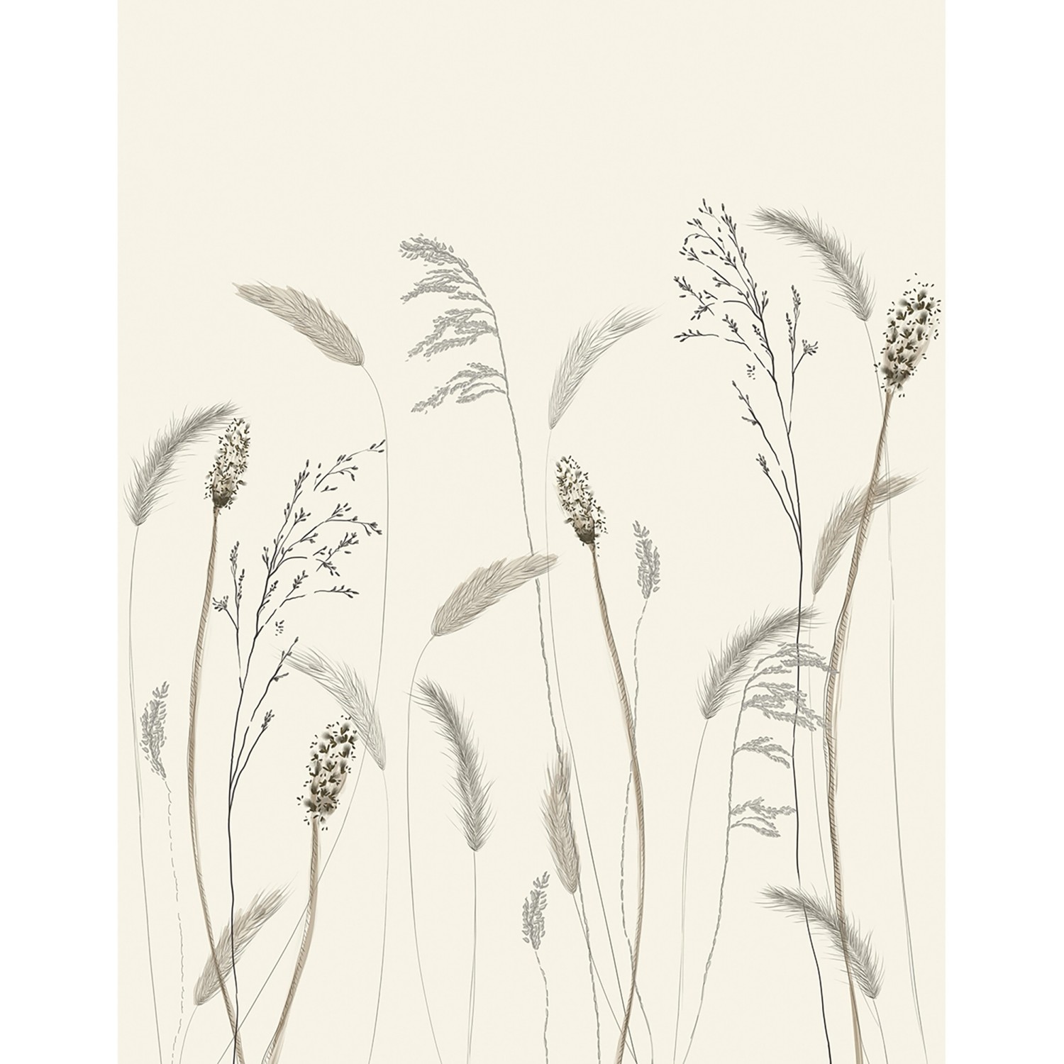 Marburg Vliestapete Gräser Crushed-Optik Modern 270 cm x 210 cm Beige günstig online kaufen