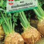Knollensellerie Mars von Sperli: Widerstandsfähige Gemüsesamen für vitaminreiche Ernte.