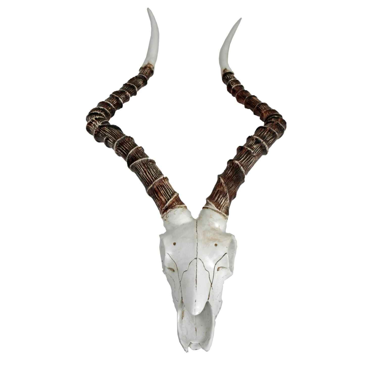 DELUKE Impalakopf GEOHE Kunststoff Weiß 11,5x33x68cm Wanddekoration Geweih Tier-Dekoration