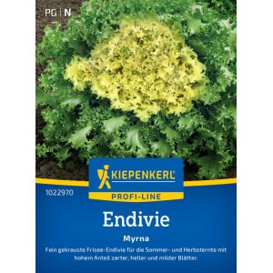 Kiepenkerl Saatgut Endivie Myrna: Fein gekrauste Endivie mit hellgelbem Herzen, ideal für Sommer und Herbst.