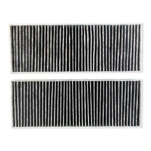 AIR2GO Aktivkohlefilter für Bora Dunstabzugshauben, 2er-Set.