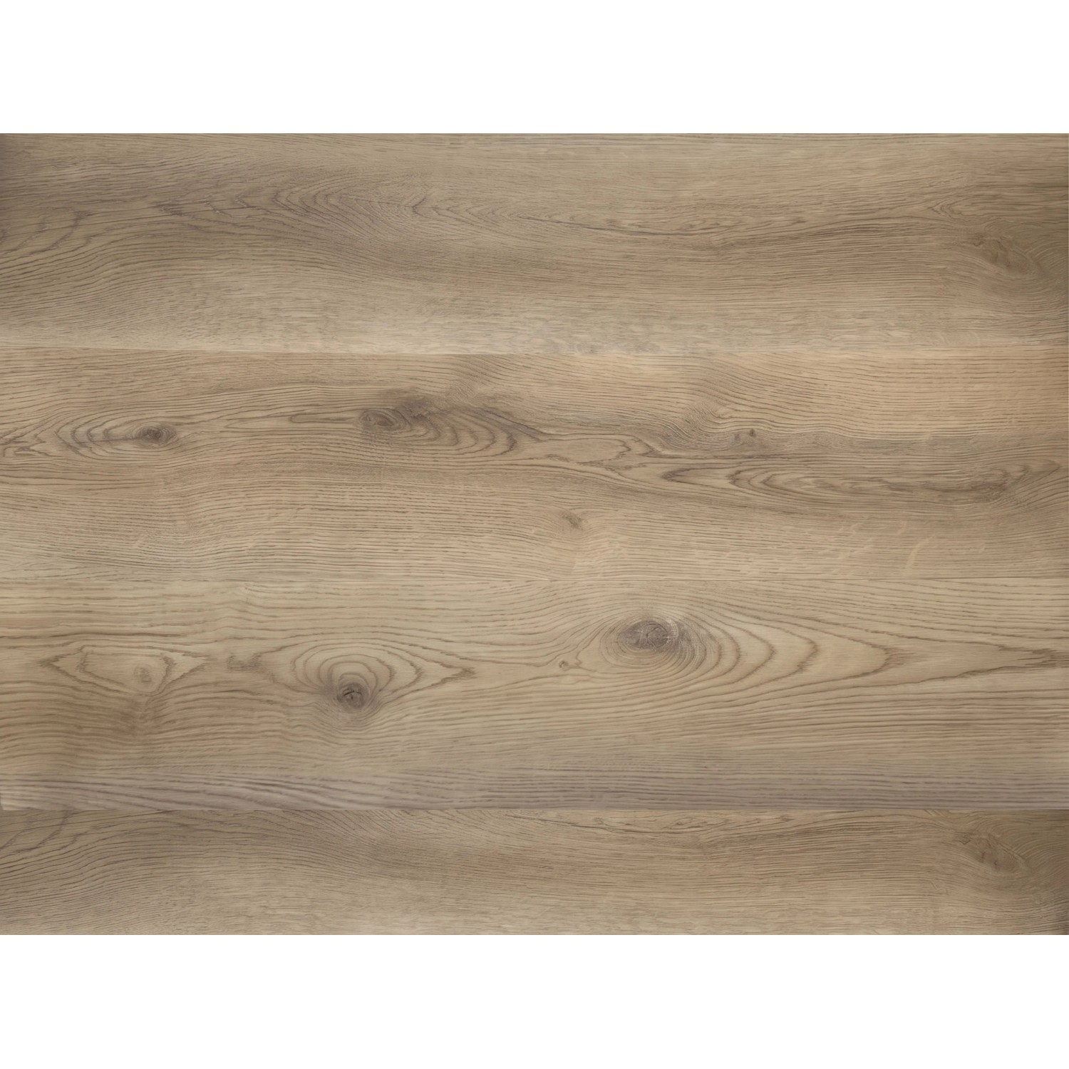 Timefloor Vinylboden SPC Rigid Cupid50Plus Trittschall Landhausdiele