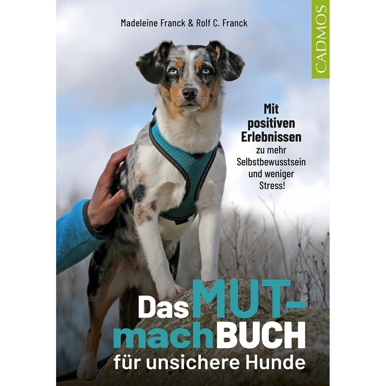 Das Mutmachbuch für unsichere Hunde