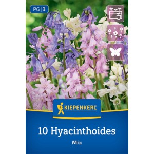 Kiepenkerl Hasenglöckchen Mischung, verschiedene Farben. Blumenzwiebeln für Garten und Kübel.