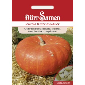 Saatgutpackung Dürr Samen Kürbis Roter Zentner, großer, oranger Speisekürbis.