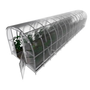 Langes, transparentes Klasika Gewächshaus 3x12m mit geöffneter Tür und Pflanzen im Inneren.
