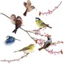 Komar Fenstersticker Birds (31x31 cm) mit verschiedenen Vogelmotiven auf Ästen mit Blüten.