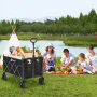 Schwarzer faltbarer Sekey Bollerwagen (60L, 80kg) mit Picknickzubehör am See, ideal für Camping & Transport.