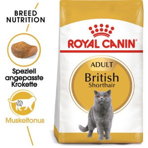 Royal Canin British Shorthair Katzenfutter Trocken, 4kg Packung für Britisch Kurzhaar Katzen.