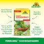 Neudorff Ferramol Schneckenkorn 1kg: Packung mit Schnecke auf Salatblatt. Regenfeste Schneckenbekämpfung für den Garten.