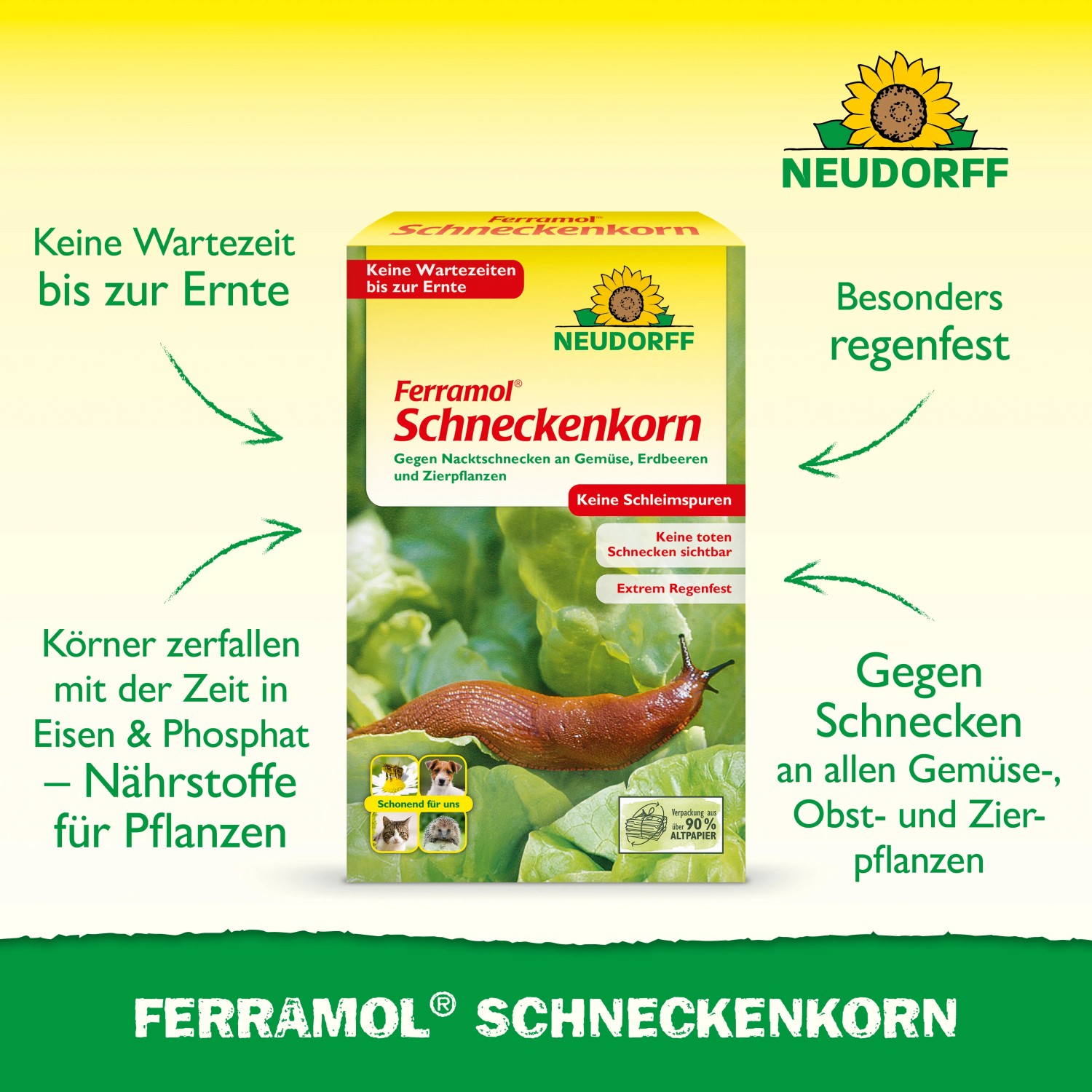 Neudorff Ferramol Schneckenkorn 1kg: Packung mit Schnecke auf Salatblatt. Regenfeste Schneckenbekämpfung für den Garten.
