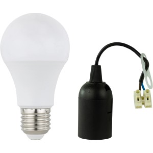 REV Ritter Renovier-Set: LED Leuchtmittel (10W) und Fassung E27 mit Lüsterklemme.