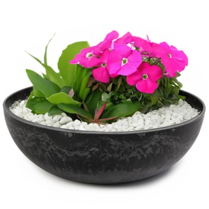 Schwarze, marmorierte Pflanzschale (25x9 cm) mit pinkfarbenen Blumen und weißen Ziersteinen.