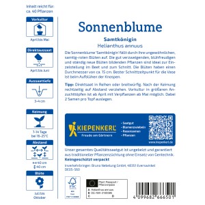 Kiepenkerl Sonnenblume Samtkönigin Rot, Blumensamen-Packung mit Infos zu Aussaat und Pflege.