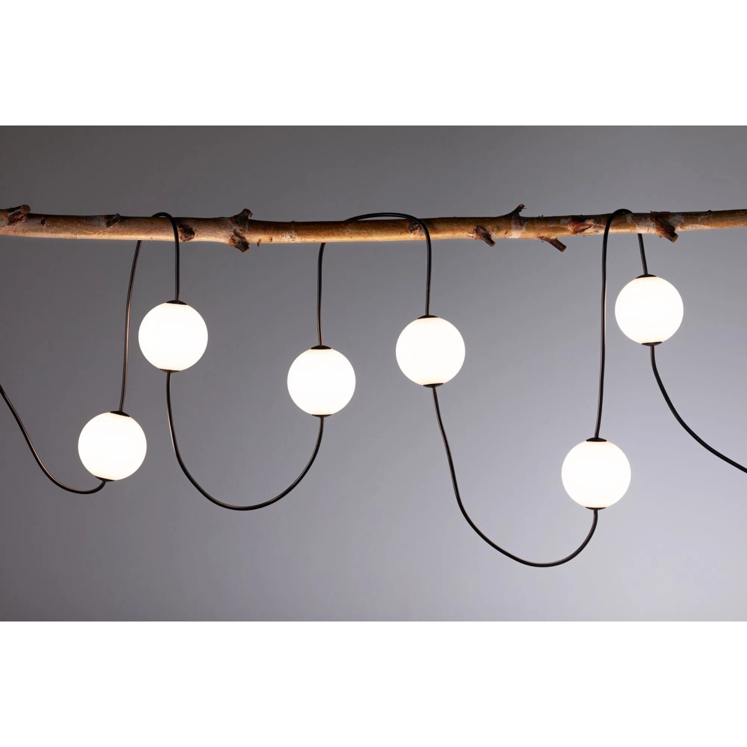 Paulmann LED-Lichterkette Naima Plug & Shine mit leuchtenden Kugeln auf Ast. Warmweißes Licht für Garten.