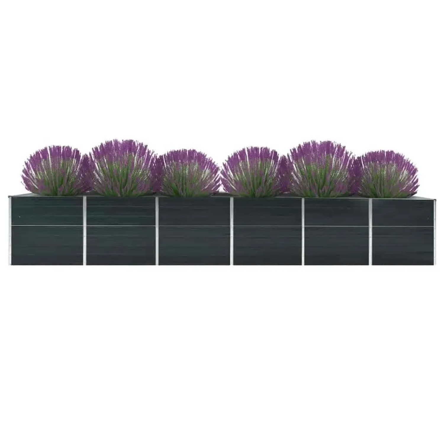 Anthrazitfarbenes, verzinktes Stahl-Hochbeet (480x80x77 cm) mit lila Zierlauch.