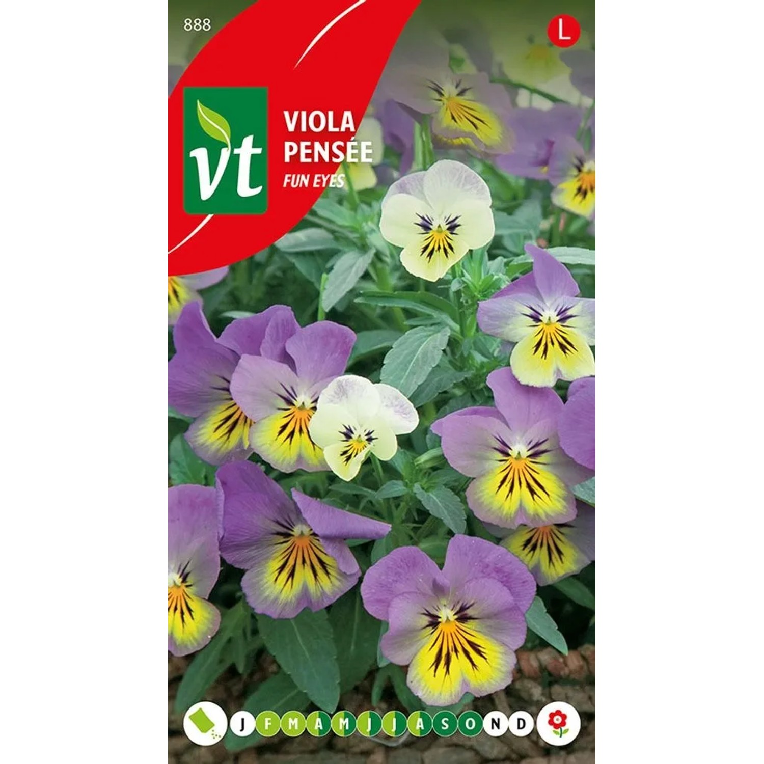 Mini-Augen Samen Ca. 0,2 g Kleine Blüten
