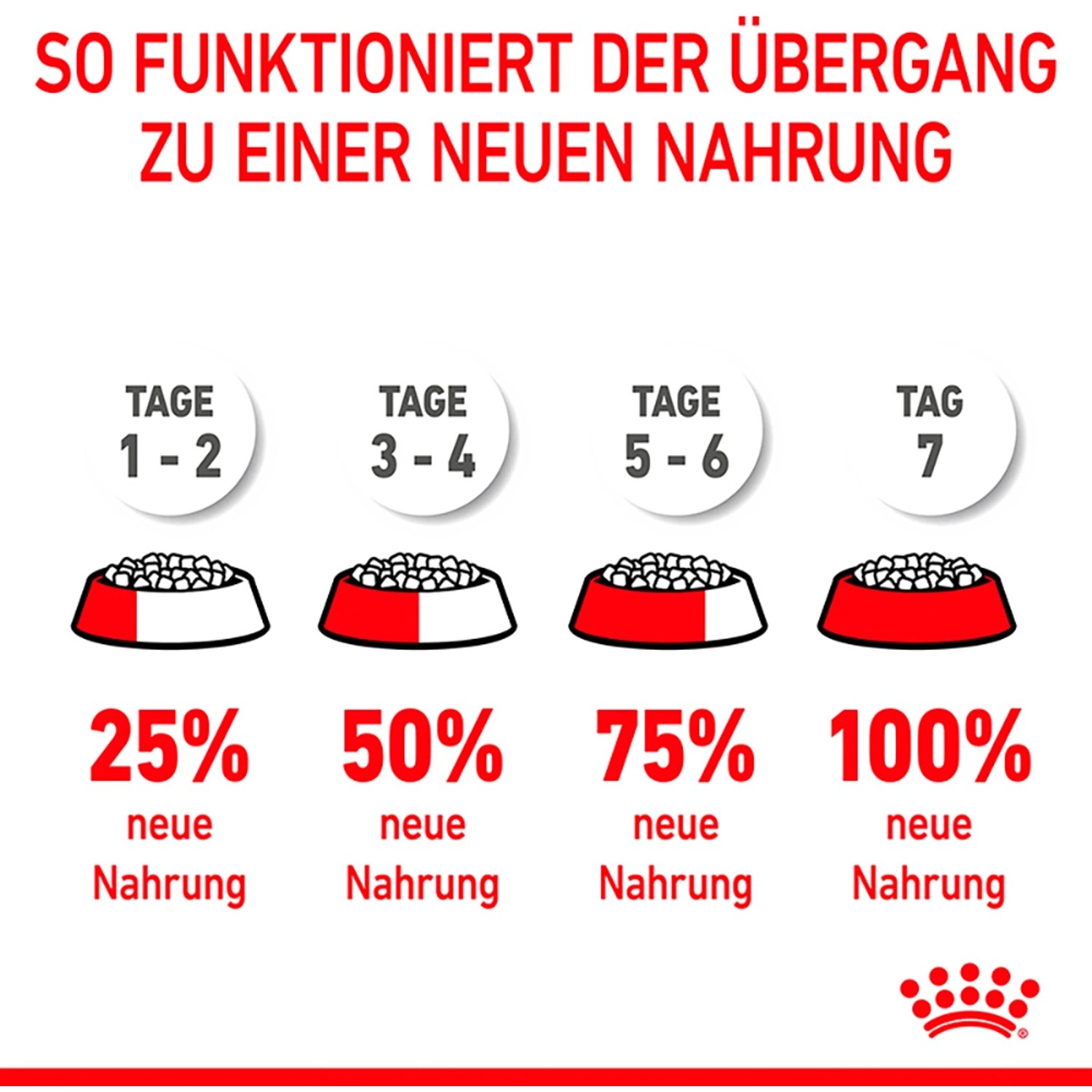 Grafik: Futterumstellung für Royal Canin Maxi Puppy Trockenfutter in 7 Tagen.