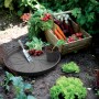 Elho Untersetzer Green Basics, Ø 14 cm, schwarz, mit Pflanze und Gemüse im Garten.